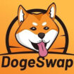 DogeSwap-(DOG)
